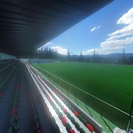 Vila Sport Borsec Eksteriør bilde
